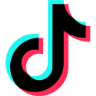 TikTok Logo